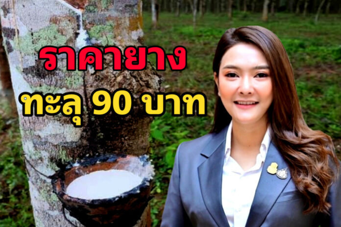 ยางพาราทุบสถิติ ราคาพุ่ง 90 บาท