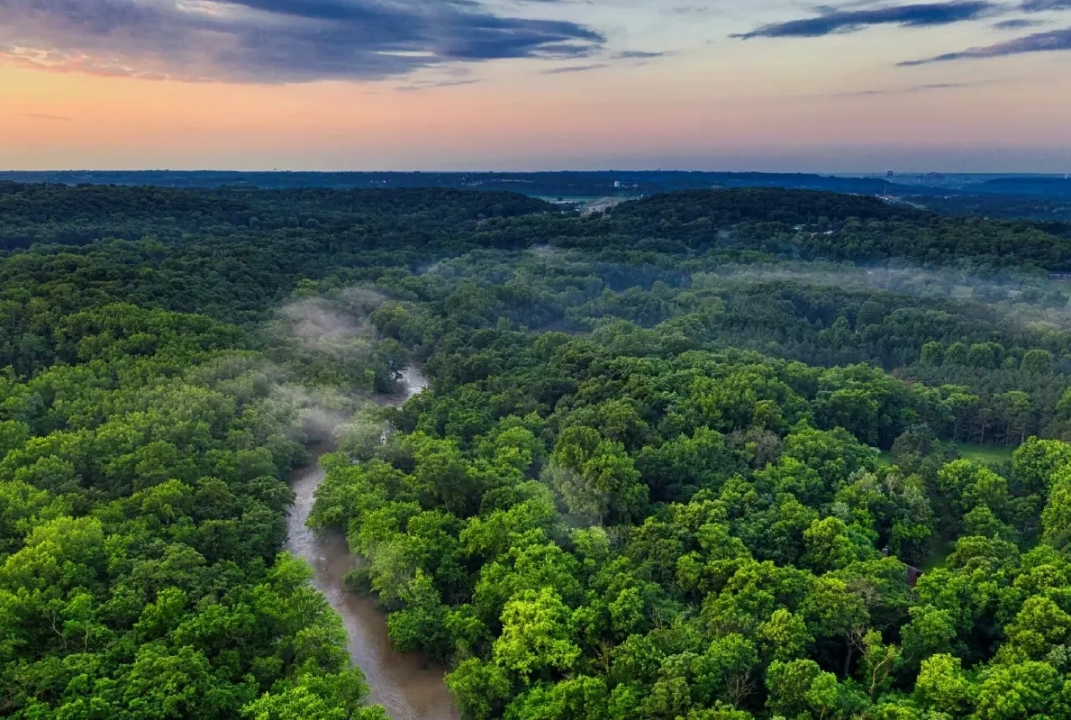 ป่าแอมะซอนทรุดโทรม พื้นที่ป่าลดฮวบ 66%